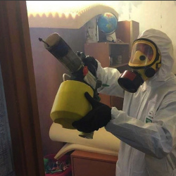 Уничтожение клопов в квартире. Болхов
